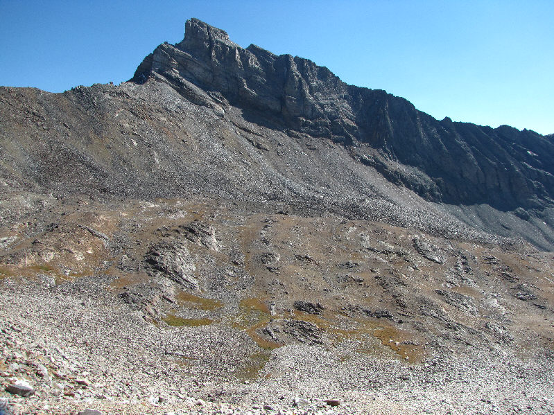 Earlier in the day, I saw what looked like 3 goats scampering on the rubble slope below Old Hyndman Peak