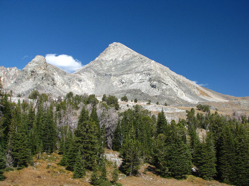 Now there's a sexy peak!