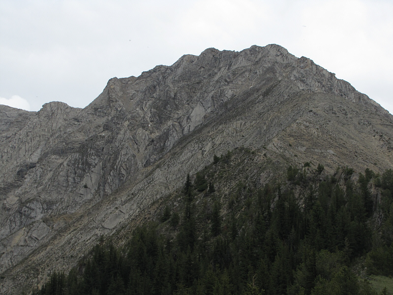 Looks like it's gonna rain...