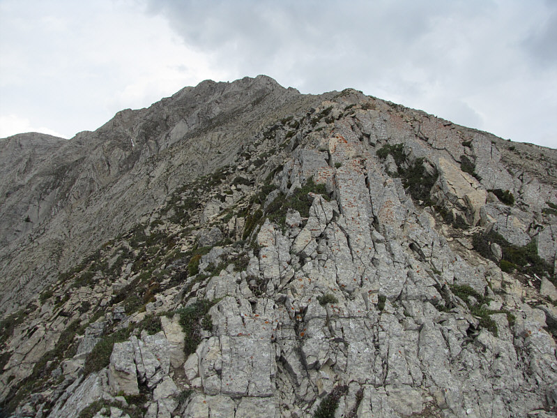 Though the top looks close, it's actually still another hour from here!