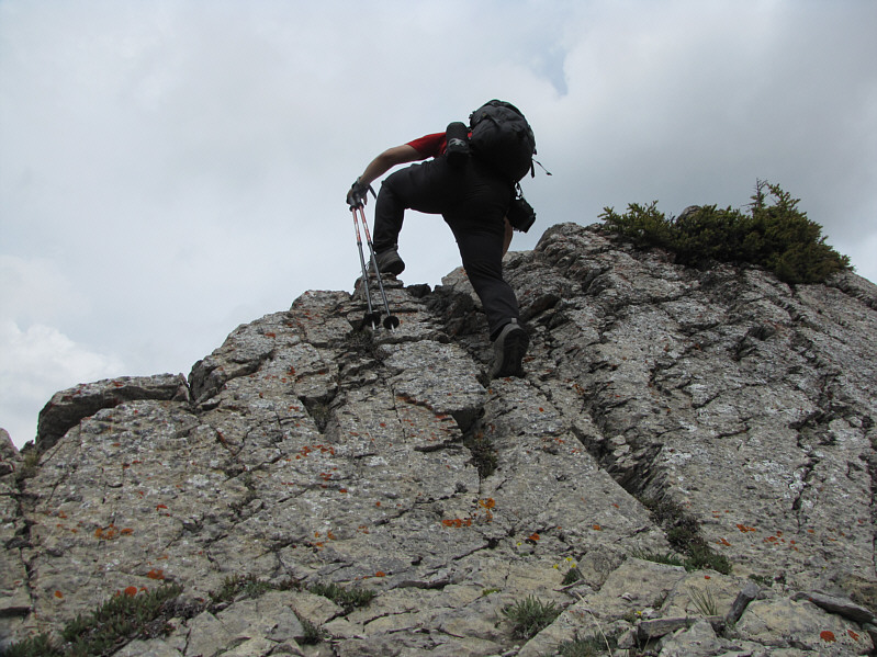 Lotsa good hands-on stuff on the upper mountain.