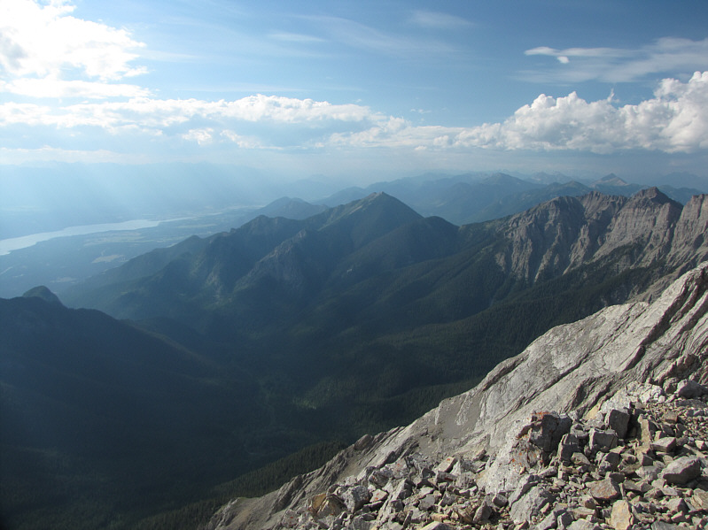 I'll be back to bag Tegart in the future.