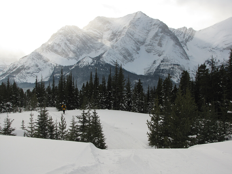 Get ready for a wild ride downhill!