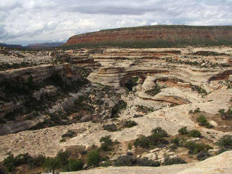 Sipapu is Hopi for "the place of emergence".