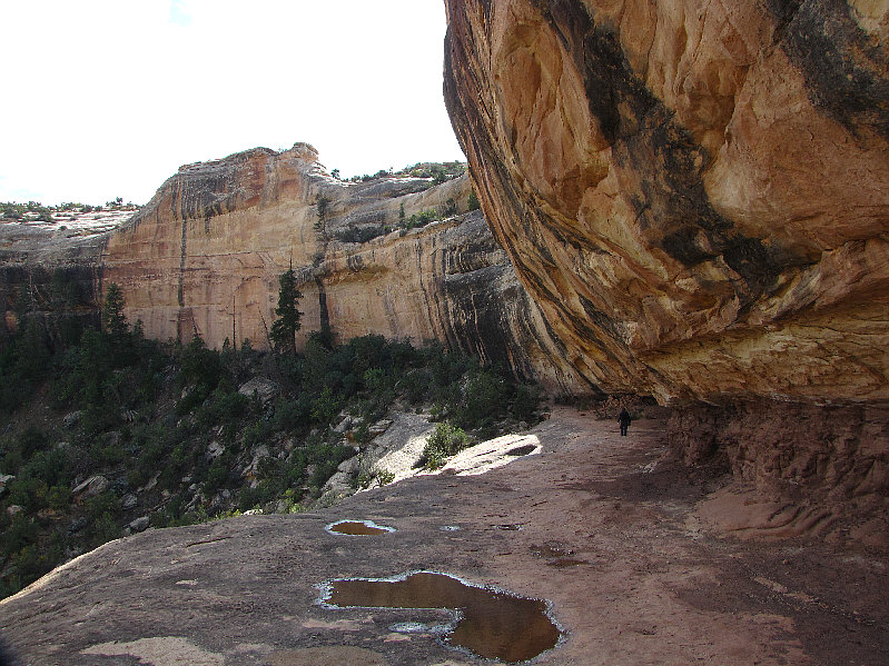 A lot of people stop here and don't bother descending further.