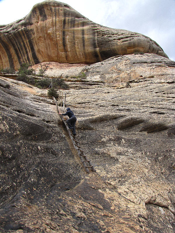 Those ladders sure don't look very sturdy...