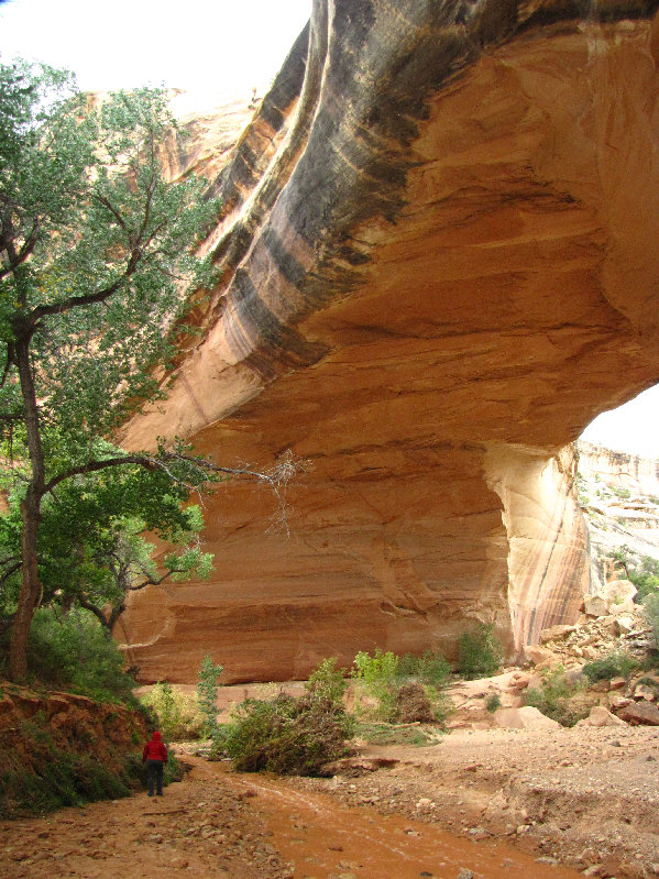 Maybe we should have stayed underneath this bridge for shelter.