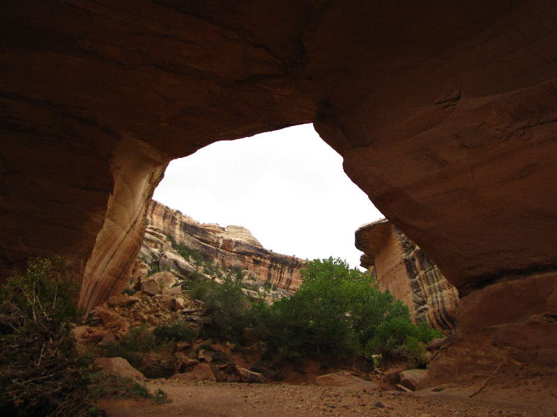 We got thoroughly drenched on our way back from here.