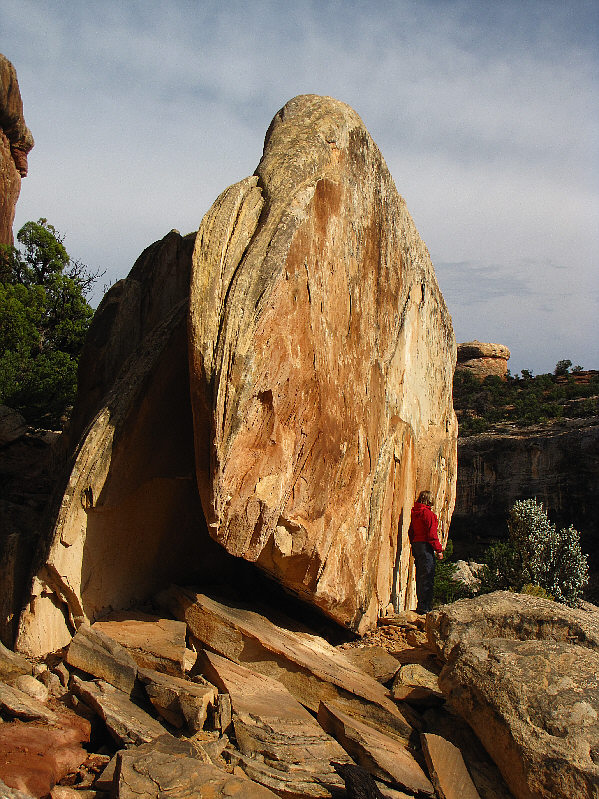 Almost looks like it could tip over!