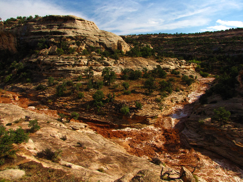 This was incredible to see!