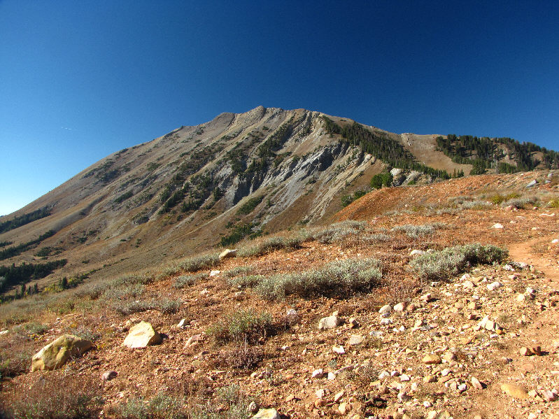 The trail does take an annoying dip just ahead though!