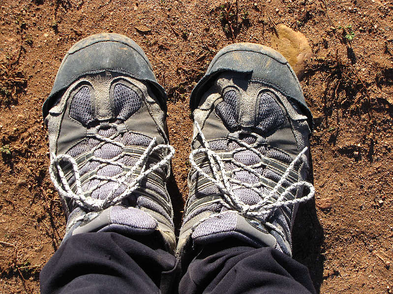 I've gotten my money's worth out of these shoes and then some!