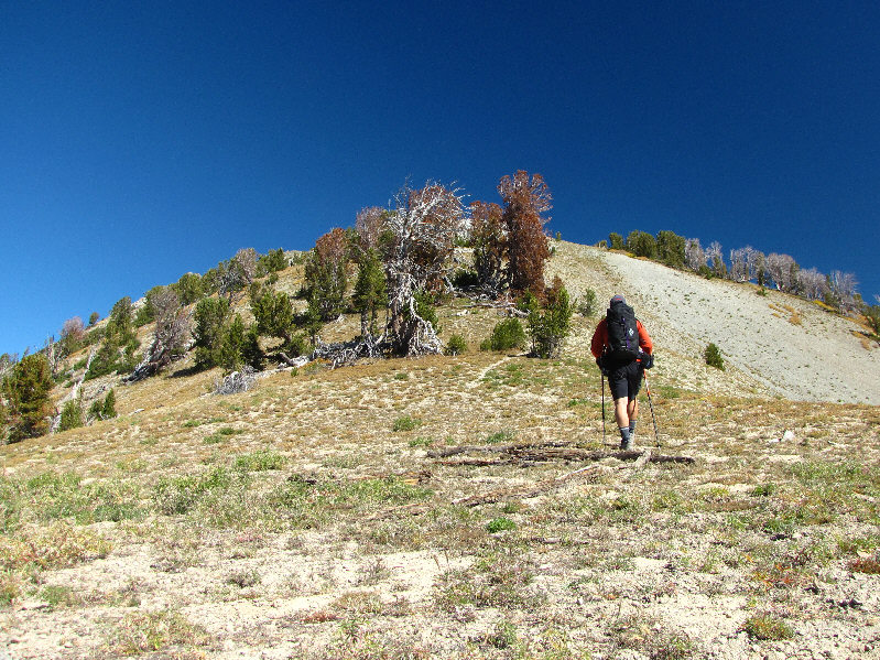 I actually saw mountain bike tracks up here.  That would have been one screamin' downhill ride!