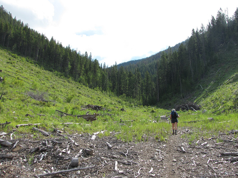 Right off the bat, it's a steady uphill climb.