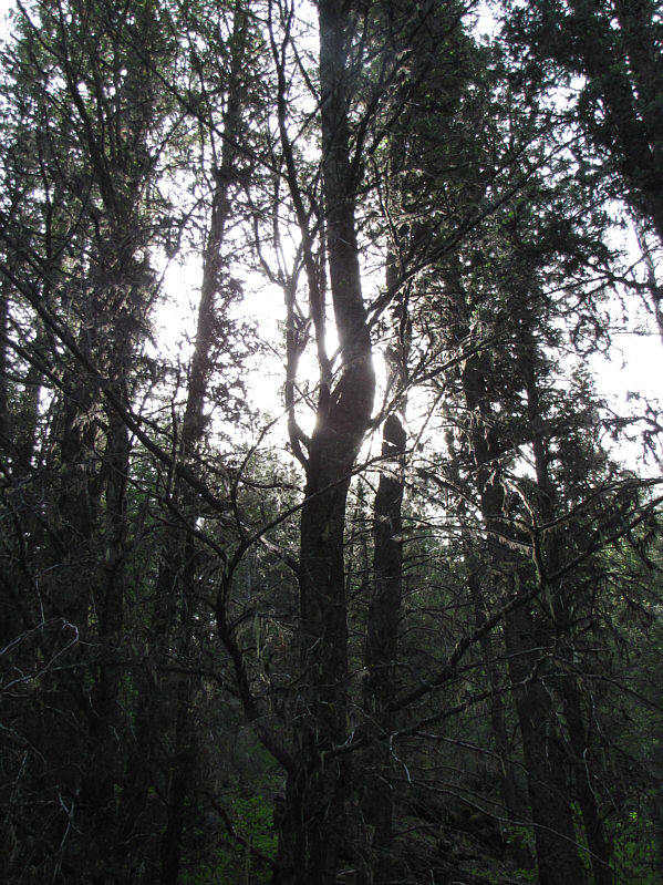 Kelly was busy taking photos for her artwork, so I decided to be artsy as well!