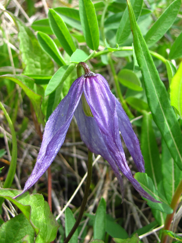 Something to look at during the long and often boring ascent...