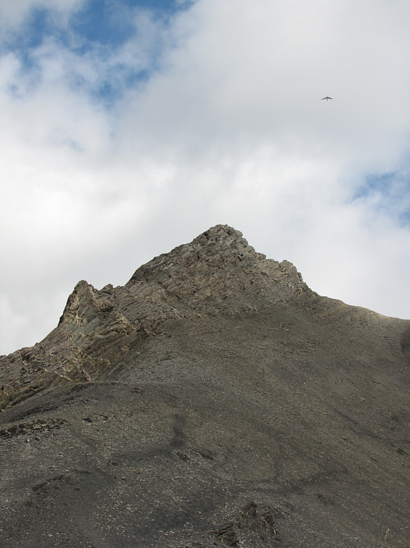 There were a lot of hang gliders, paragliders, and even a full glider around the mountain on this day.