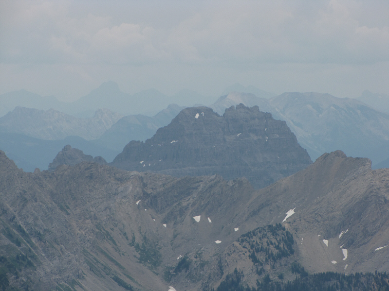 See a big gorilla somewhere on there?