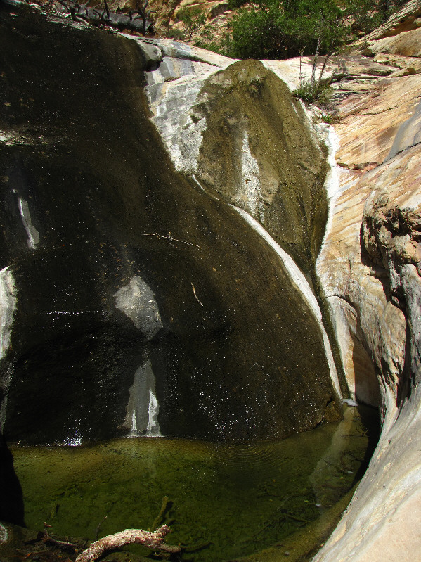 Apparently there is always water here though I'm not so sure I'd want to drink it!