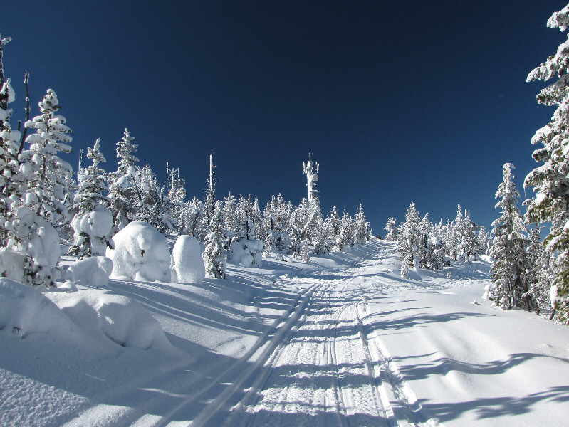 The snow-covered trees on the upper mountain make up for the lack of views.