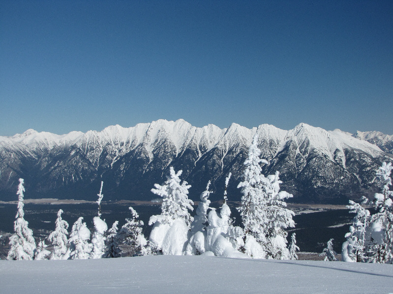 The Steeples never cease to amaze me.