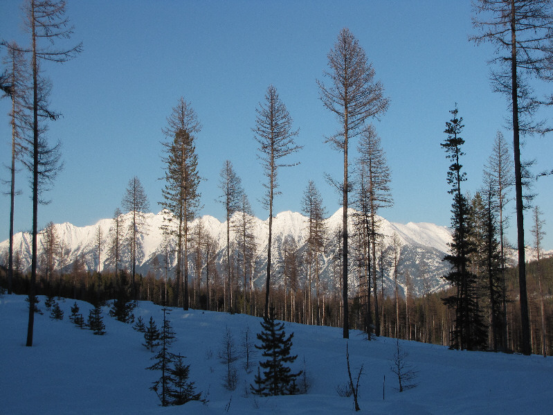 Boy, I'm tired! Glad it's a short drive back to Cranbrook!