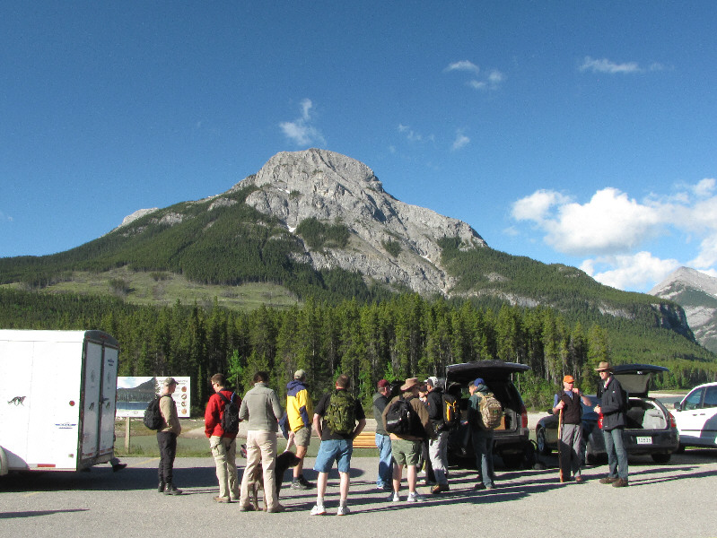 Who's in charge here??