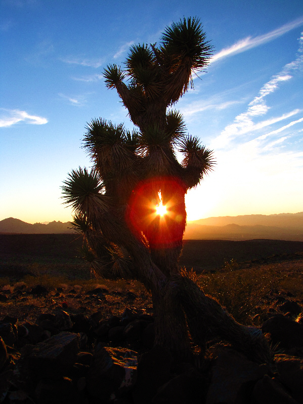 One of my favourite photos of the week!