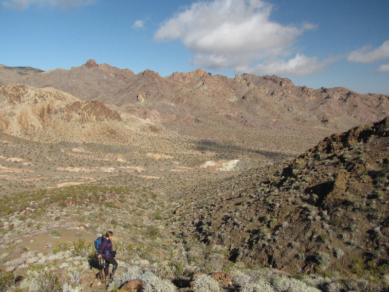 No trails here--pick your own path.