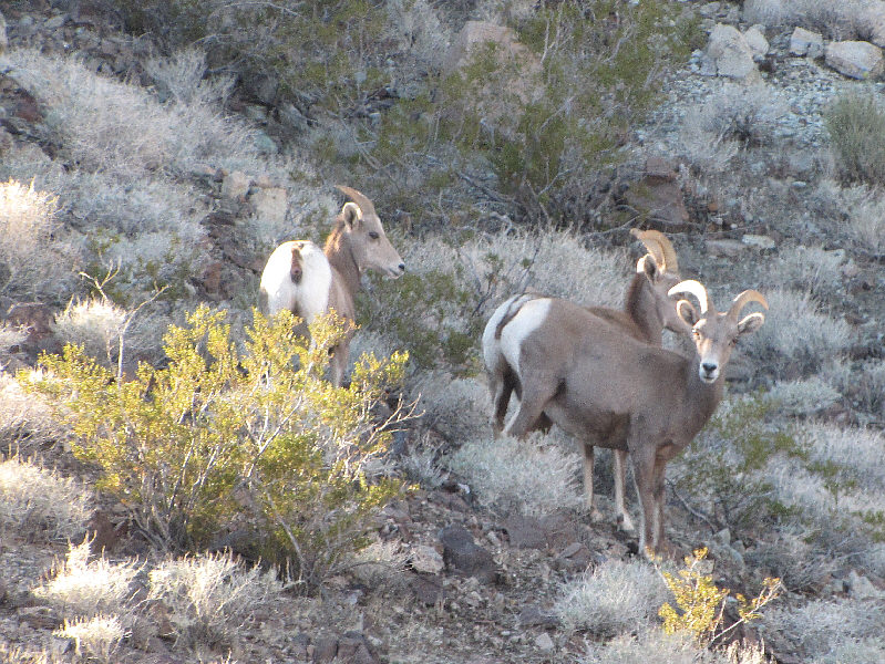 Yeah, I have that effect on others...