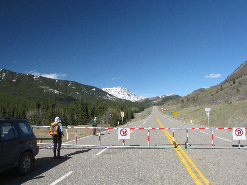 I easily could have driven around the gate!