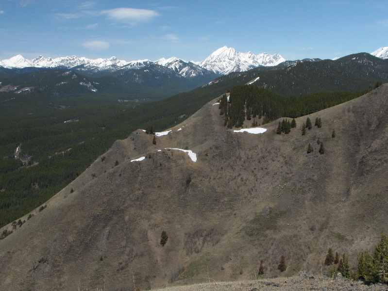 So this is where they hang out when they're not partying in Banff!