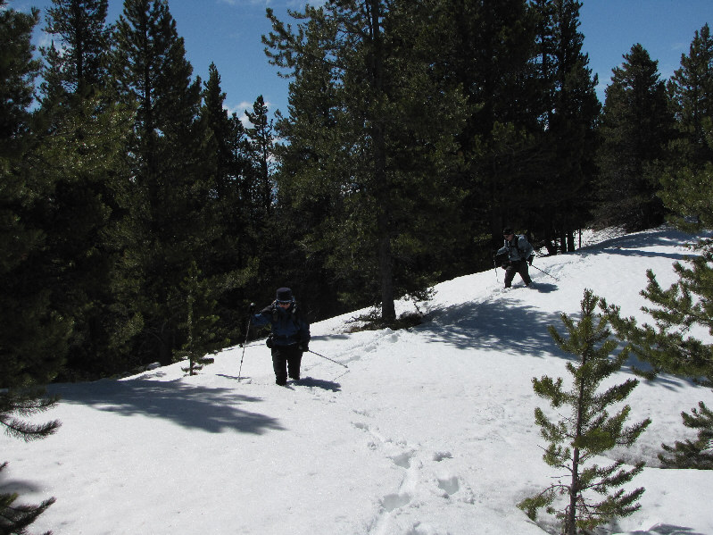 Thank heaven I wore my winter (waterproof) boots today. Dinah's and Bob's boots would eventually get soaked.