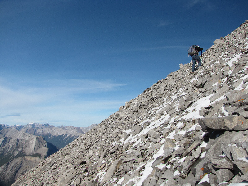 Nice to be in the sun again!