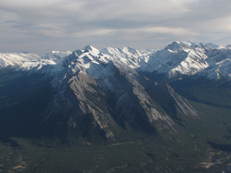 Ex Coelis is latin for "out of the clouds".