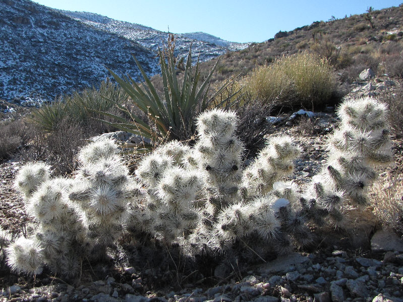 Look but don't touch!