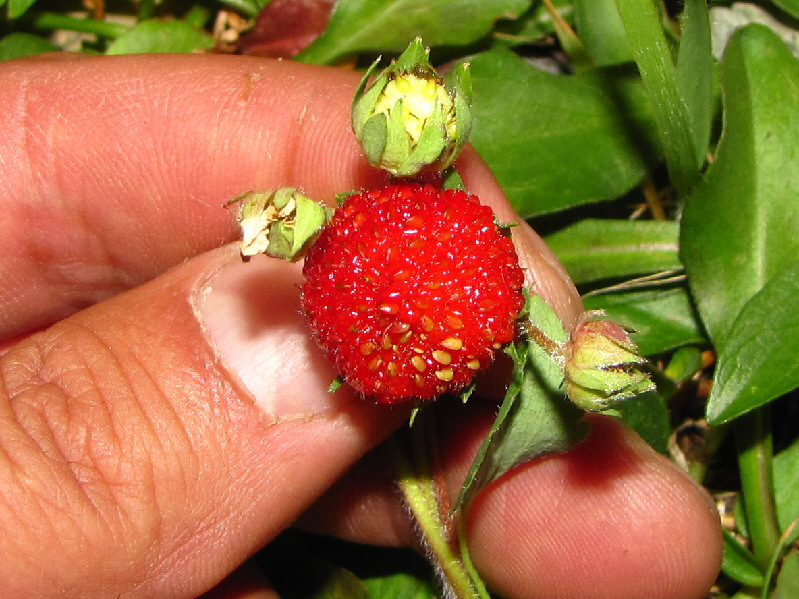 It was scrumpdillyumptious!!