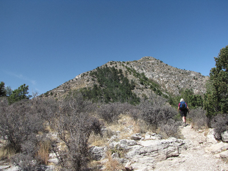 The trail takes a rather roundabout approach to the summit from here, possibly to accomodate those riding horses.