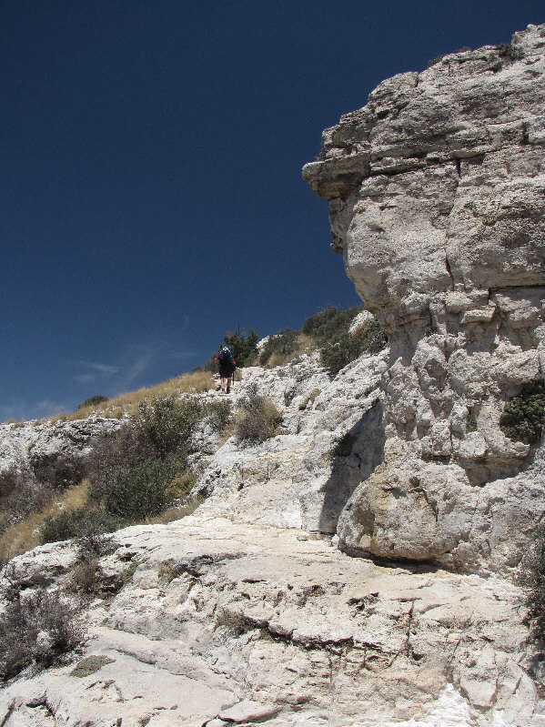 There's a place to tie up horses not far from here.