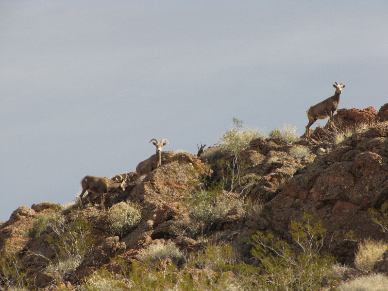 I made my route-finding error near here.