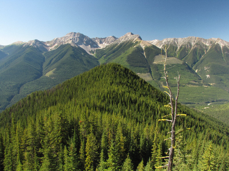 It's not worth trying to sidehill bash around the bump to save some elevation gain/loss.