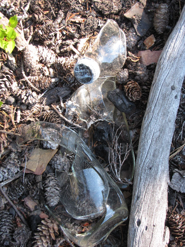 When was the last time you saw a glass Pepsi bottle with a screw cap?