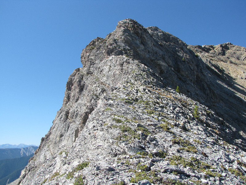 So much for all the fun bits. Now back to the bushwhacking...