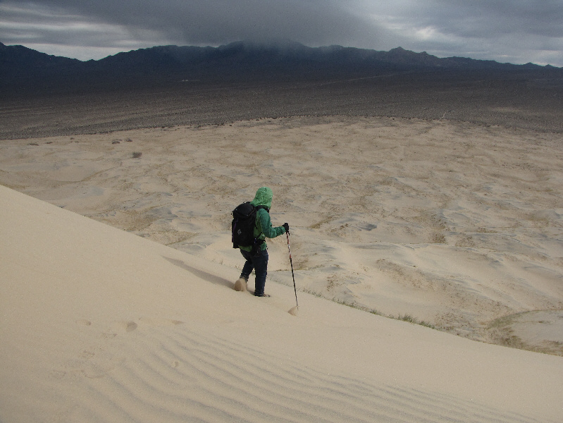 Oh look! Another penny in the sand!