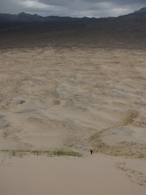 Time to go get a $6 milkshake!