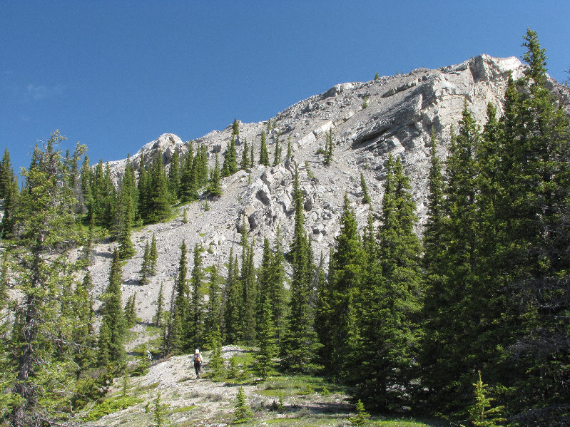 More good ol' scree bashing coming up!