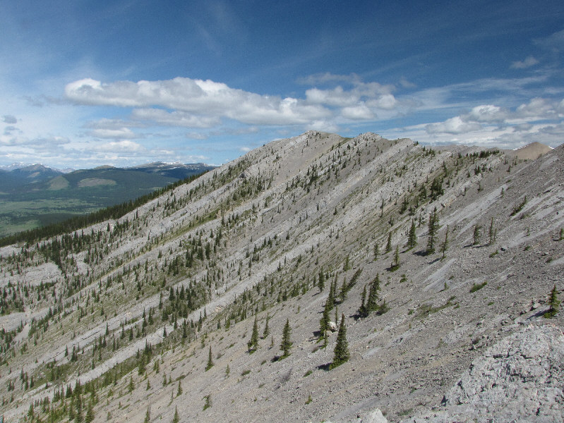 Sim Galloway nicknamed this as Ya Ha Tinda peak.