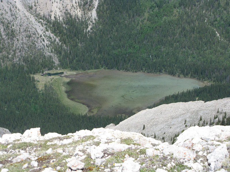 Looks rather green with algae. Polluted perhaps?