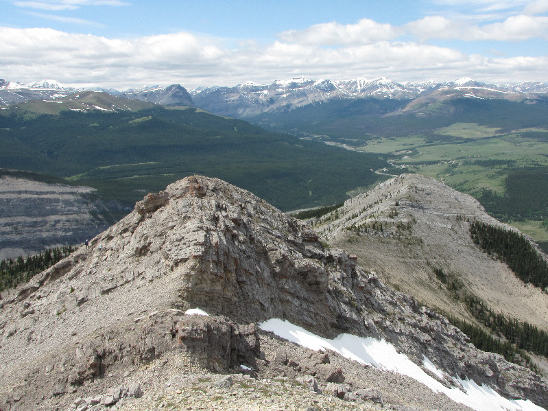 Can you spot Bob and Dinah?