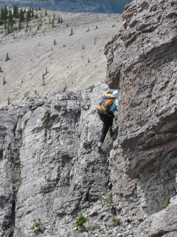 Good hands-on stuff!